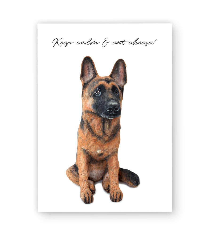 Topi The Dog Postcard 10 Pack Nenni Friends